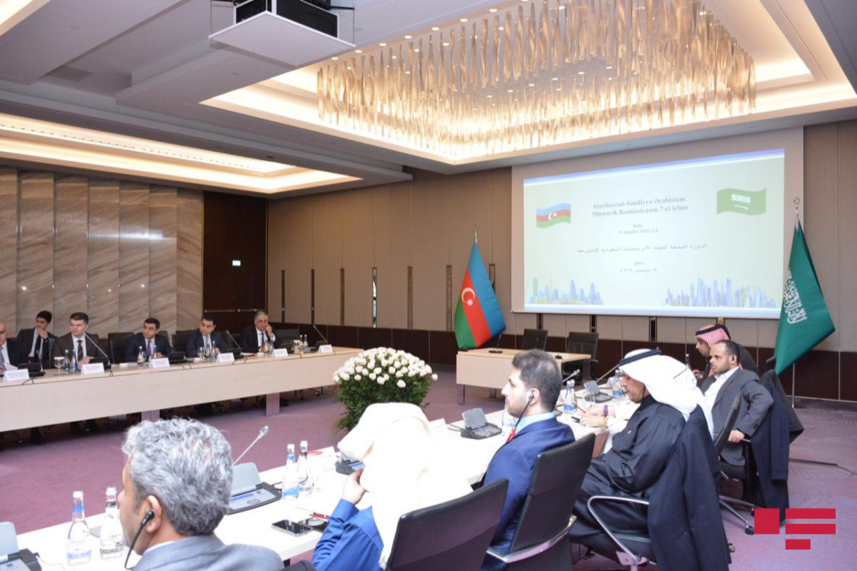 Agreement on establishment of Azerbaijan-Saudi Arabia Joint Business Council was signed-UPDATED 