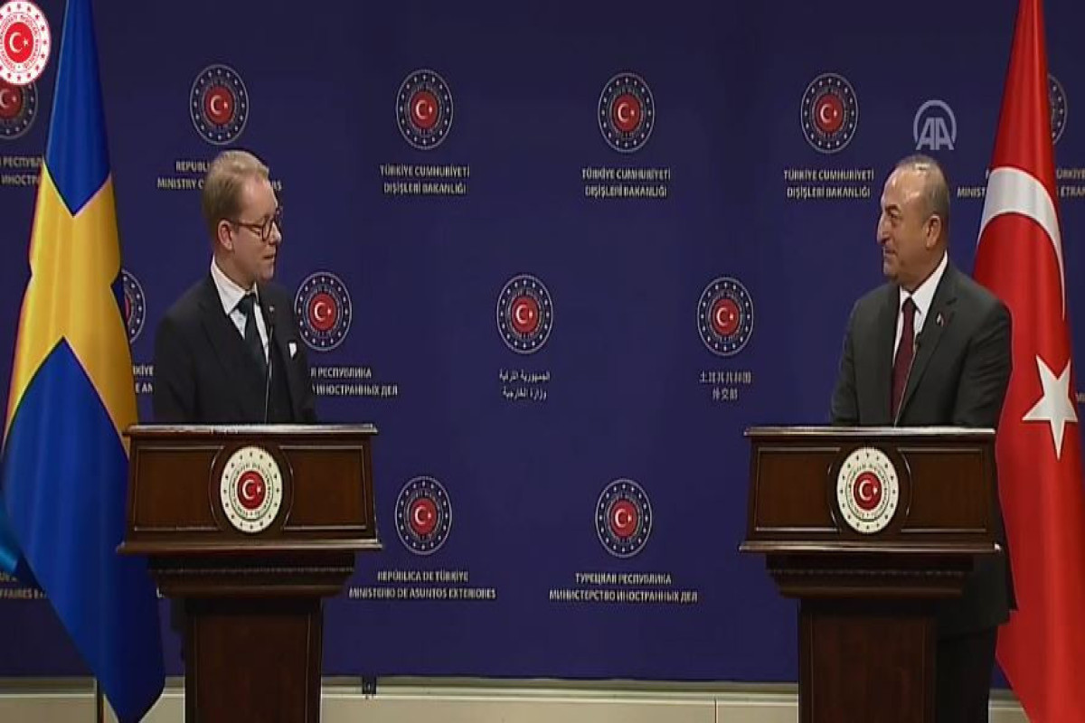 Swedish Foreign Minister Tobias Billström, Turkish Foreign Minister Mevlut Cavusoglu