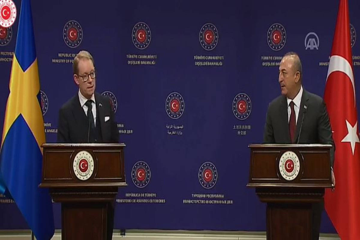 Tobias Billström and Mevlut Cavusoglu