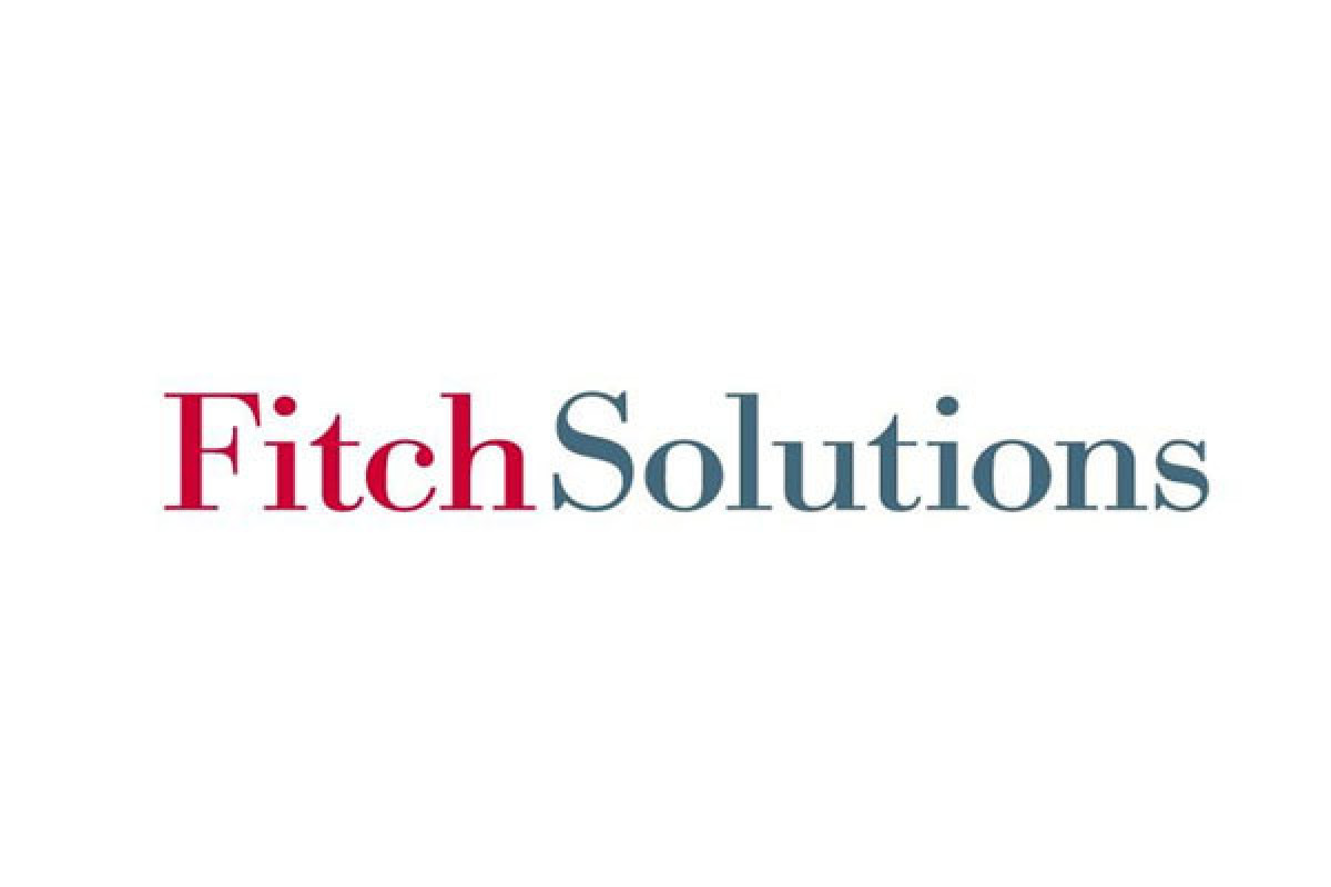 Fitch Solutions: Russia's political and economic influence will decrease on the CIS region