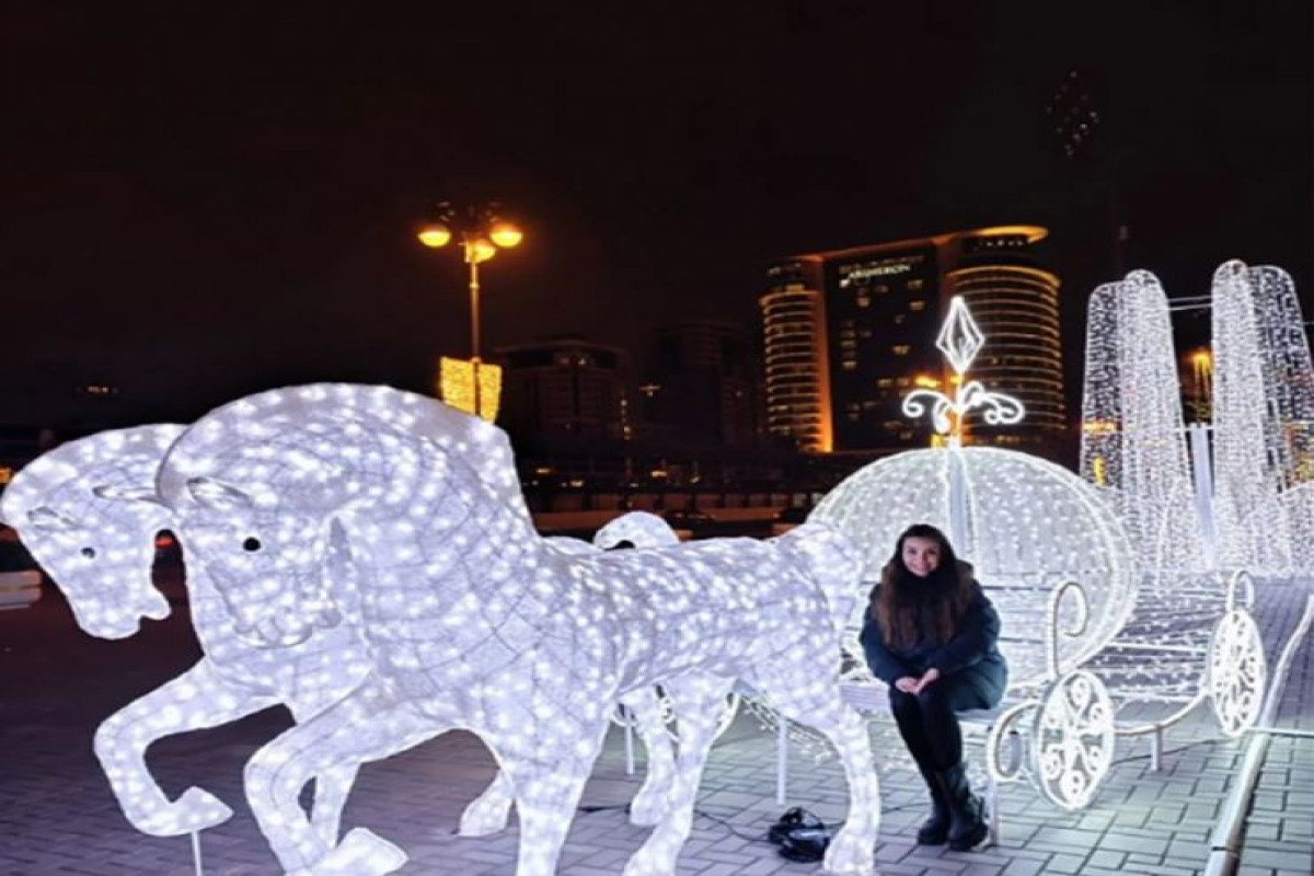 Leyla Aliyeva shared publication on preparations for New Year in Baku-PHOTO 