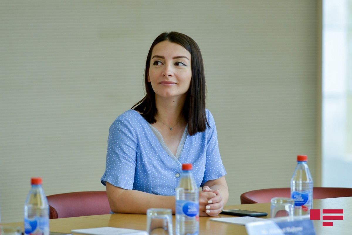 Leyla Abdullayeva, Azerbaijani ambassador to France