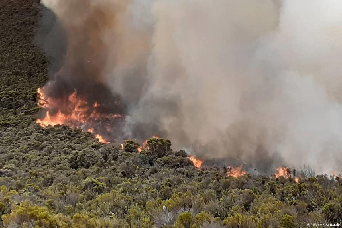 Fire harms game reserve in northern Tanzania