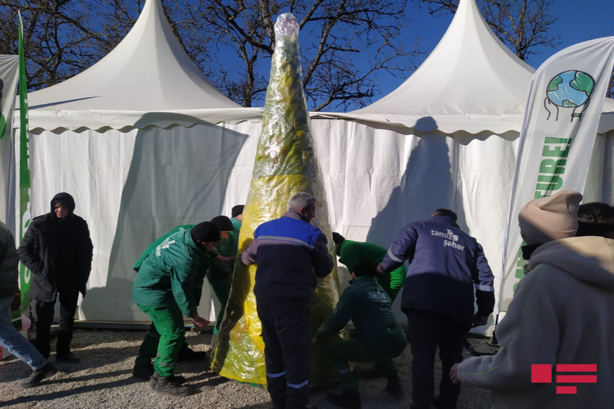 Christmas tree, a symbol of the New Year, was erected at the place where the action was held on the Lachin-Khankendi road