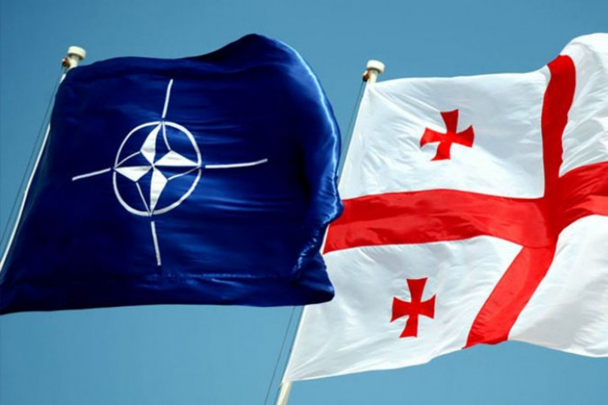 Georgia to hold joint military exercises with NATO