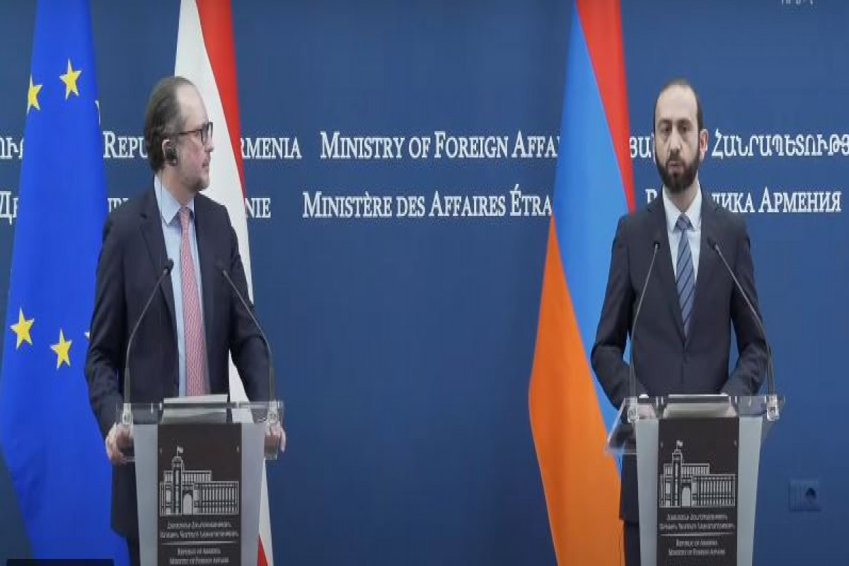 Alexander Schallenberg, Ararat Mirzoyan