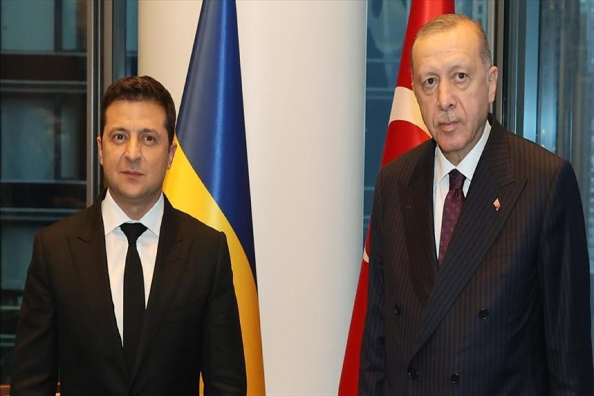 Zelenskyy, Erdogan