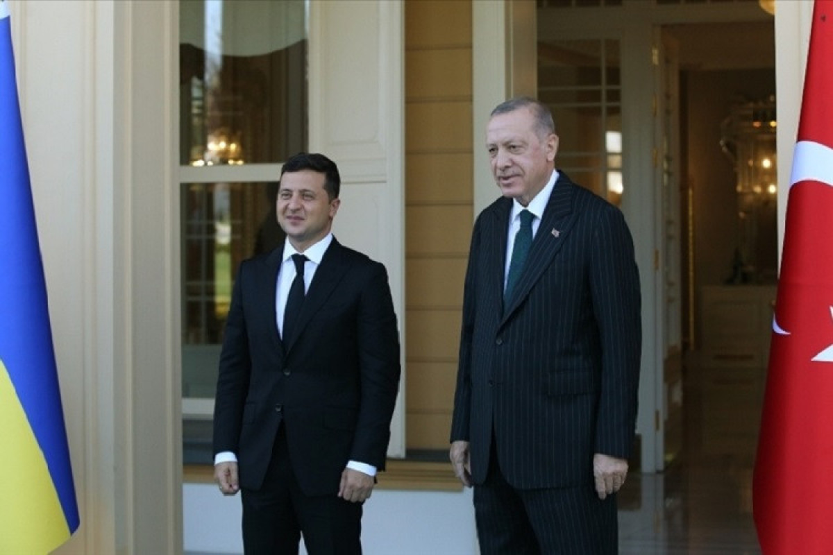 Volodymyr Zelensky and  Recep Tayyip Erdogan