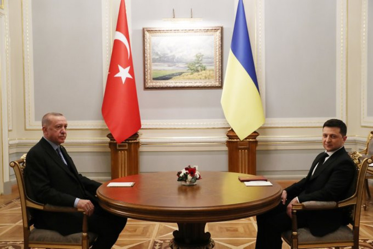 Recep Tayyip Erdogan and Volodymyr Zelensky