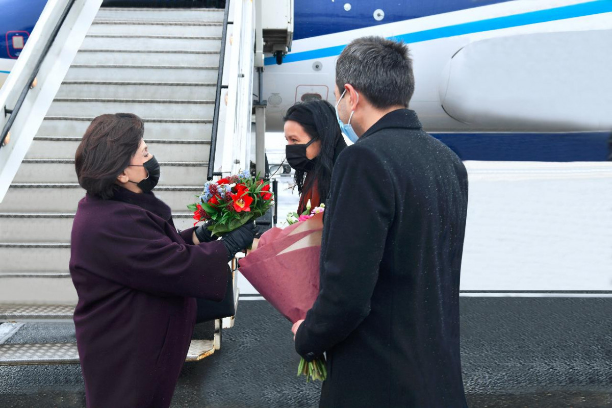 Delegation led by Chair Azerbaijan's Milli Majlis arrive in Estonia on official visit