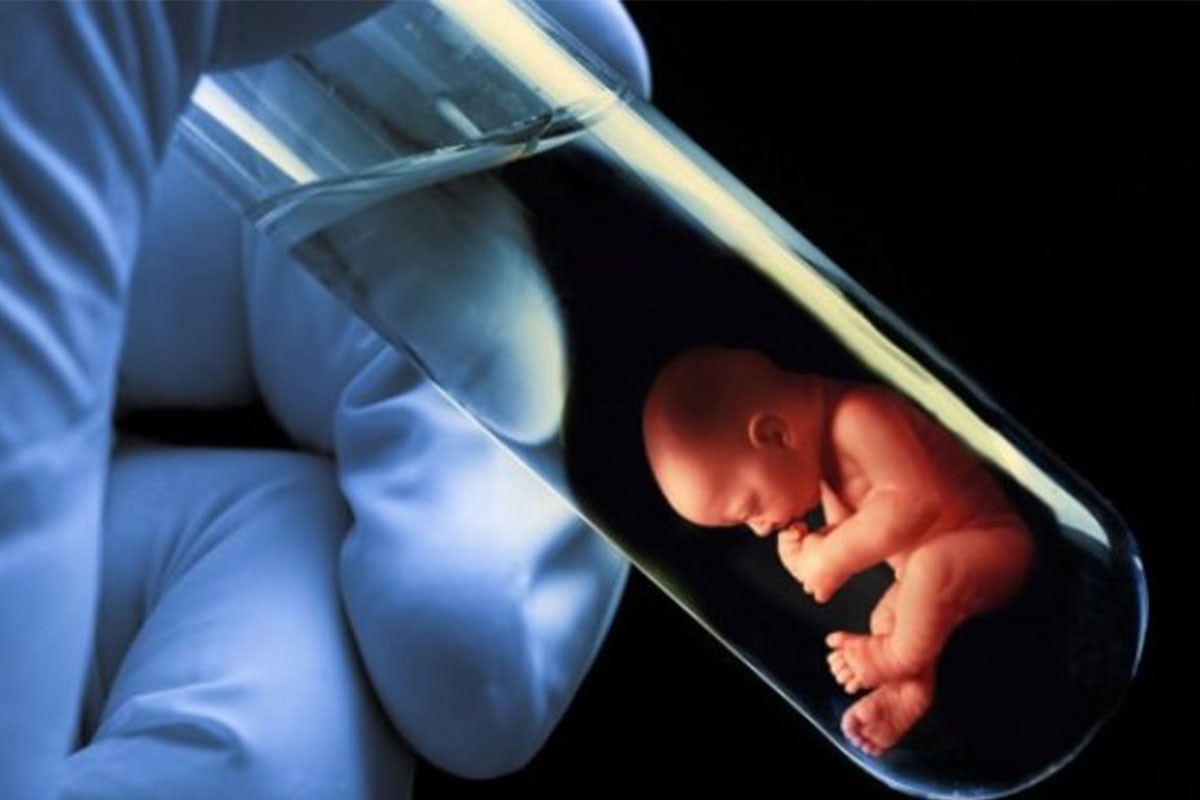 Artificial insemination costs to be covered by state once in Azerbaijan
