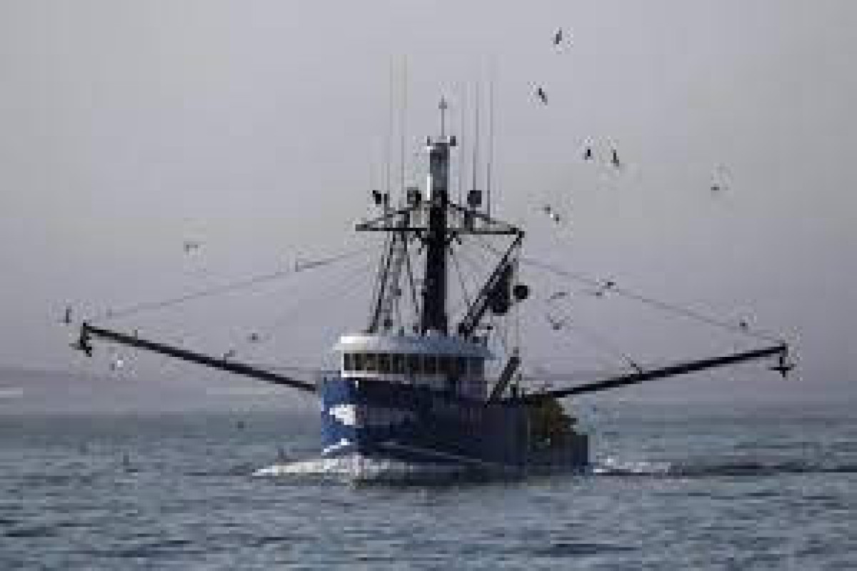 Three rescued, bodies sighted after Spanish trawler sinks off Canada