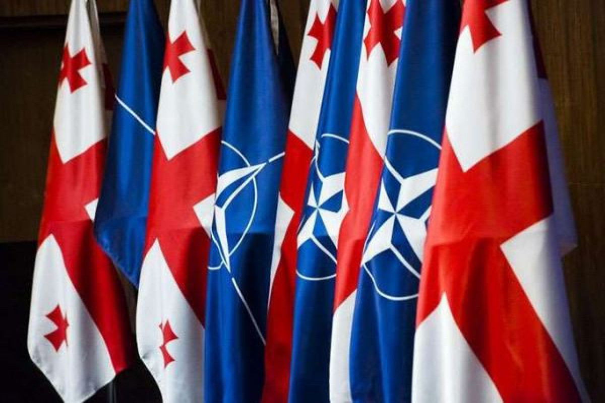 Georgia’s Def min: “Only way is to become member of NATO”