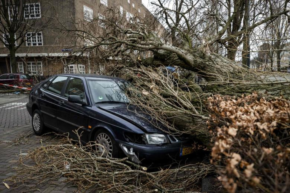 Falling trees kill three as Storm Eunice hits the Netherlands
