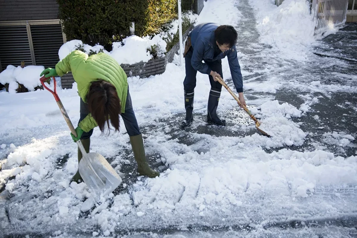 Almost 700 trains, 136 flights cancelled on Japan's Hokkaido due to bad weather, reports say