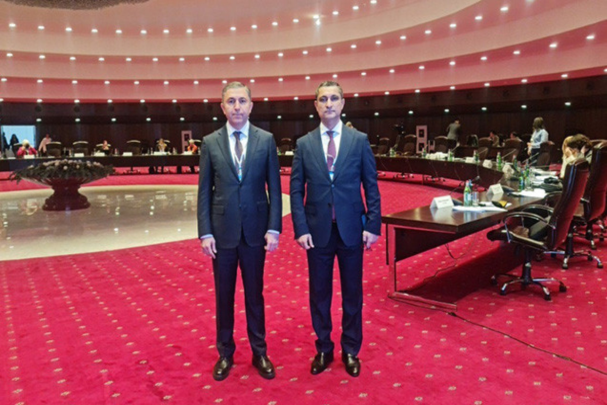 Tahir Mirkishili, Soltan Mammadov