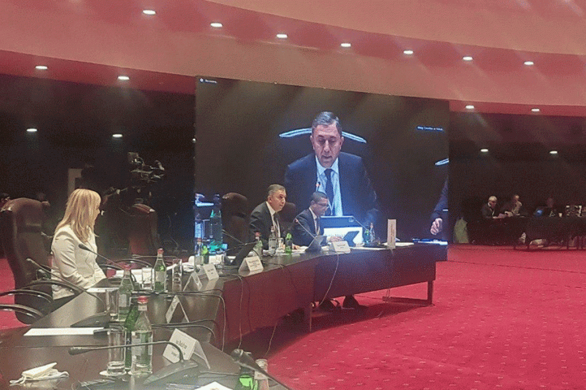 Tahir Mirkishili, Azerbaijani MP