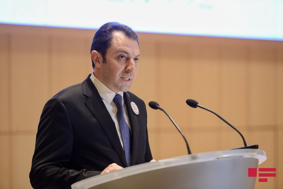 Elnur Mammadov, Deputy Foreing Minister of Azerbaijan