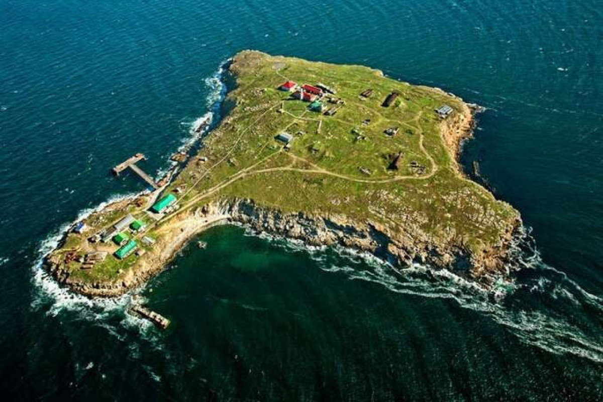 Servicemen in Zmiinyi Island were captured, Ukraine says