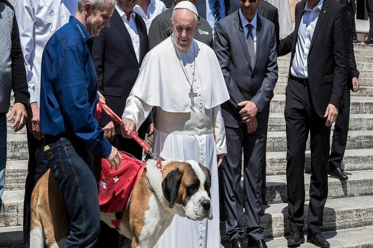 Pope Francis