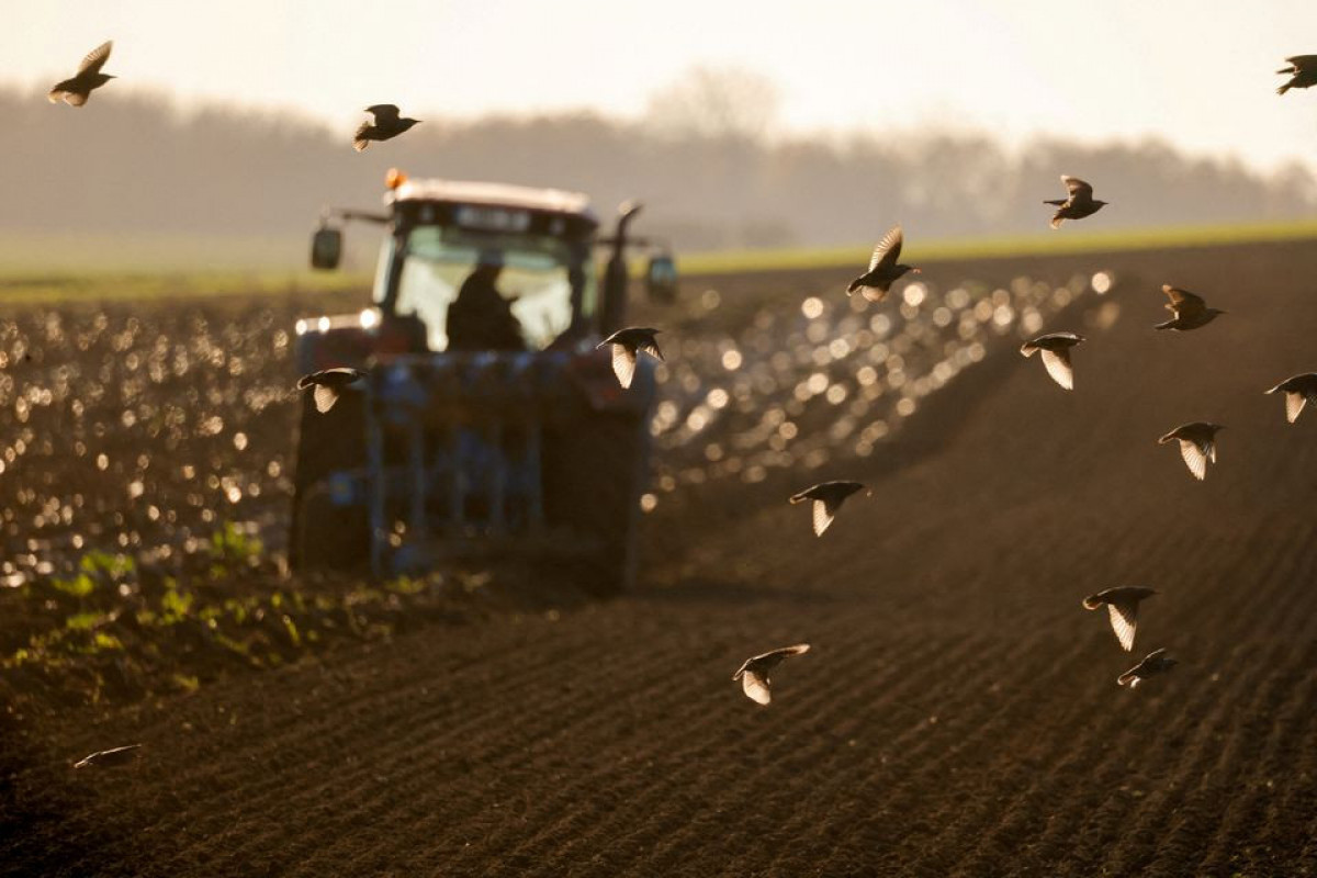 World food prices hit 10-year high in 2021