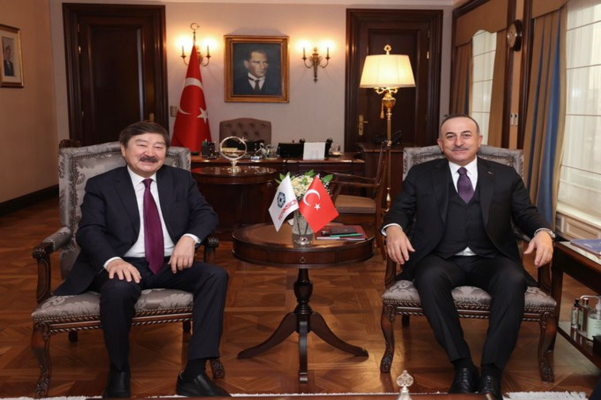 Dusen Kaseinov, Mevlut Cavusoglu