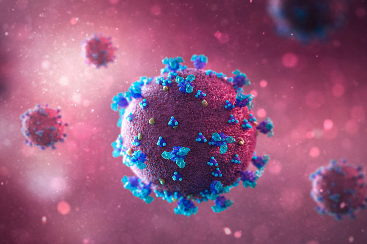 First case of Omicron strain detected in Azerbaijan