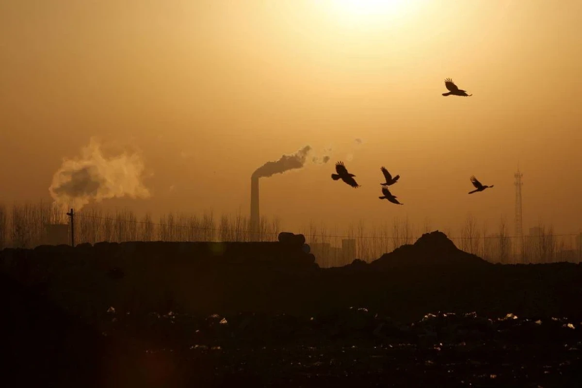 EU scientists say 2021 was world's fifth-hottest year on record