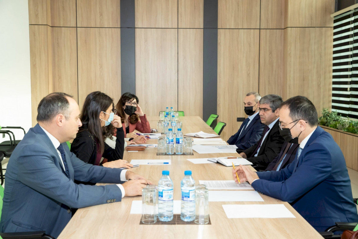 Azerbaijan establishes small businesses for vulnerable groups