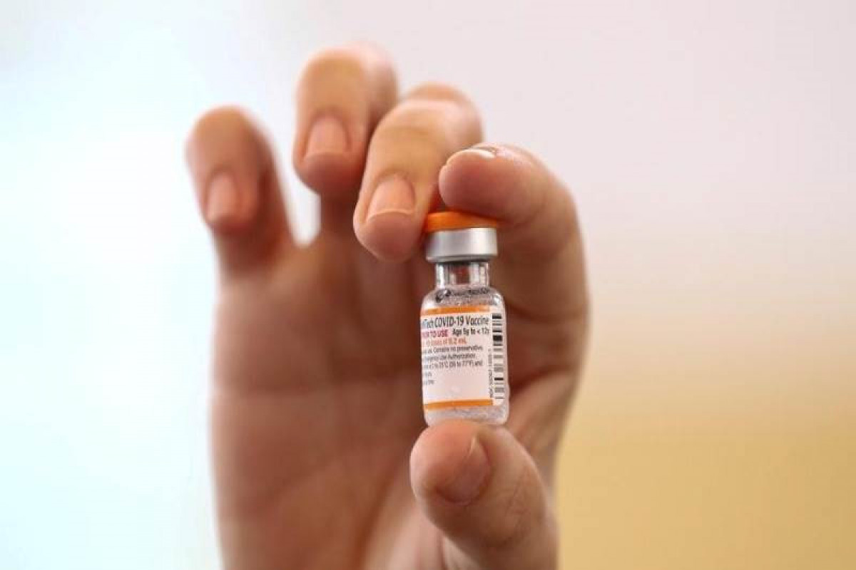 Pfizer, BioNTech start study of Omicron vaccine