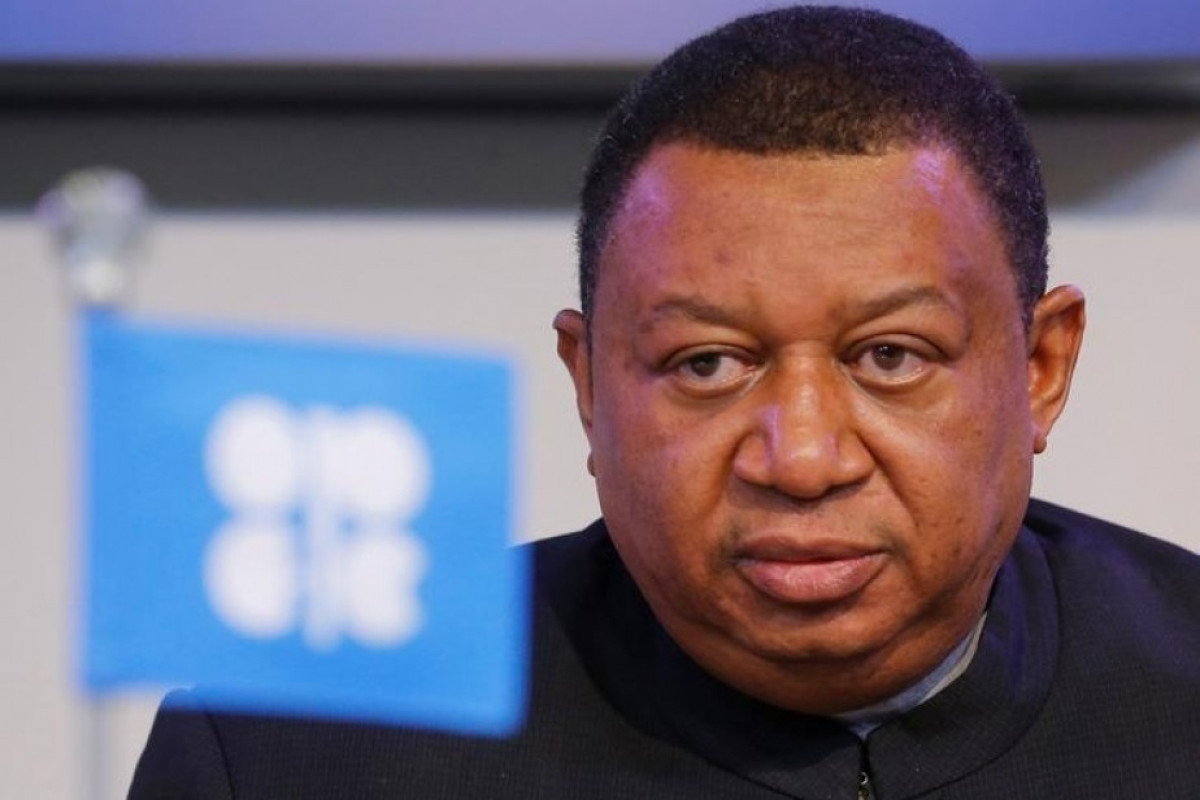 Muhammad Barkindo, Secretary-General of the Organisation of Petroleum Exporting Countries