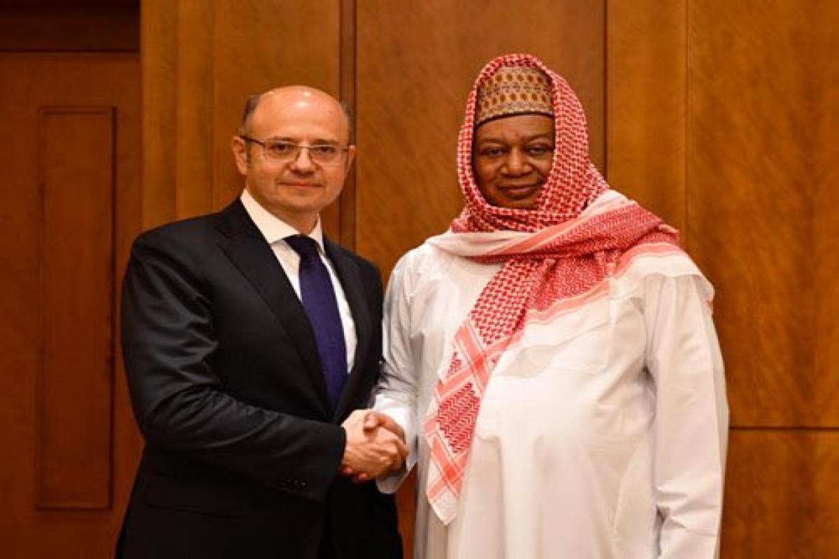 Parviz Shahbazov and Muhammad Barkindo