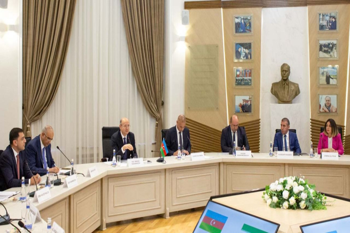 Azerbaijan, Iran discuss implementation of joint energy projects