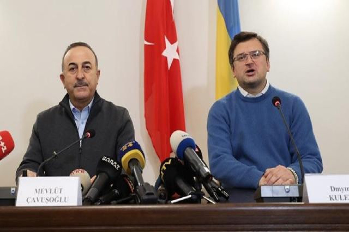 Mevlut Cavusoglu and  Dmitry Kuleba