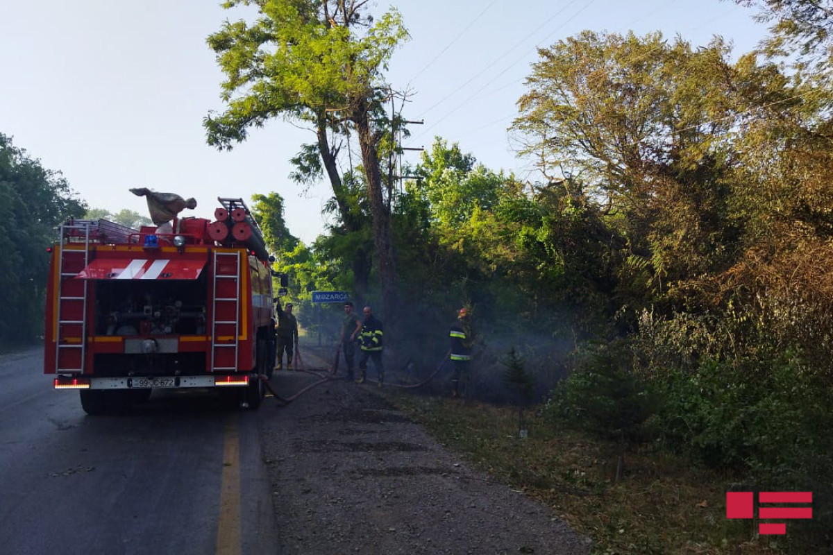 Forest fire in Azerbaijan's Khachmaz taken under control -PHOTO -VIDEO -UPDATED-5 