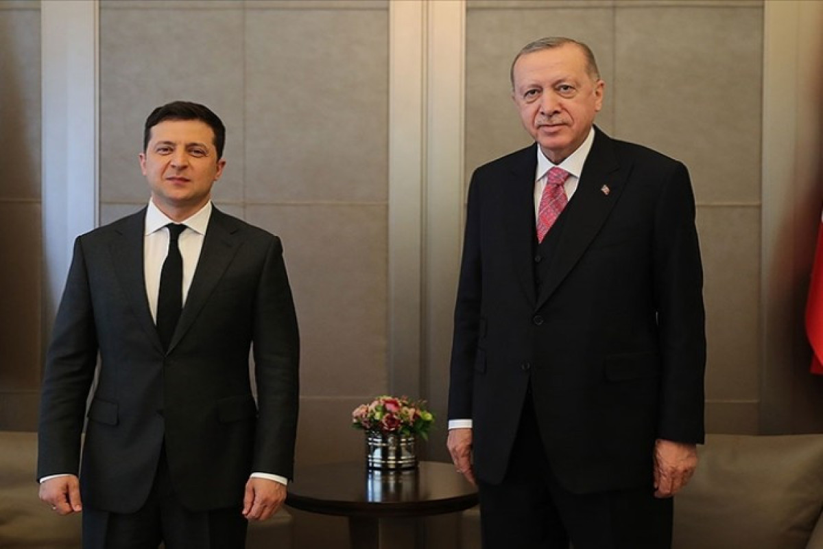 Volodymyr Zelensky and  Recep Tayyip Erdogan
