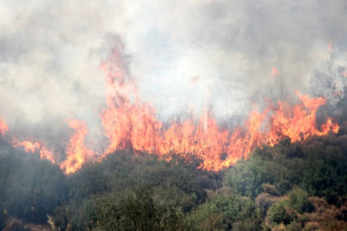 Wildfires intensify in Turkiye's Mugla, people are evacuated-UPDATED 