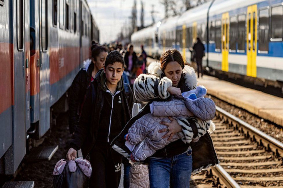 Nearly two-thirds of Ukrainian refugees to remain in host country in coming months-UN