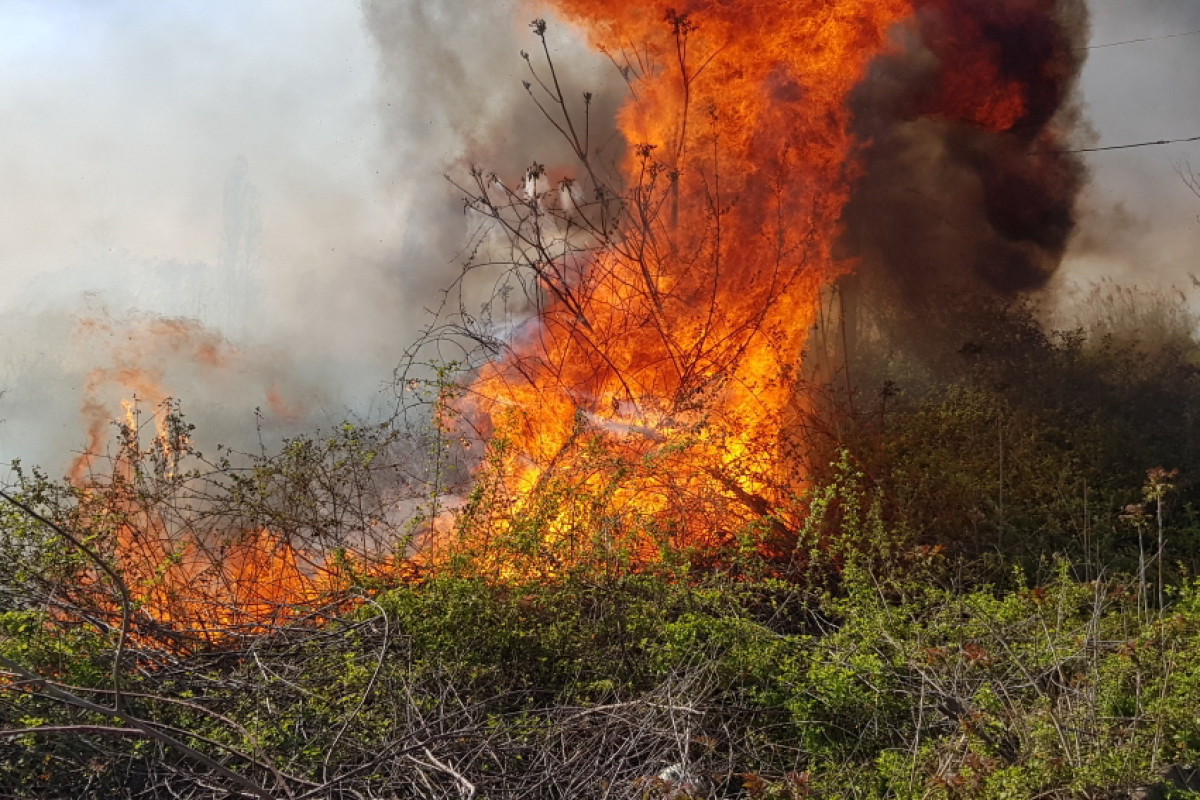 Fire extinguished in wooded area in Azerbaijan's Zangilan-VIDEO -UPDATED 