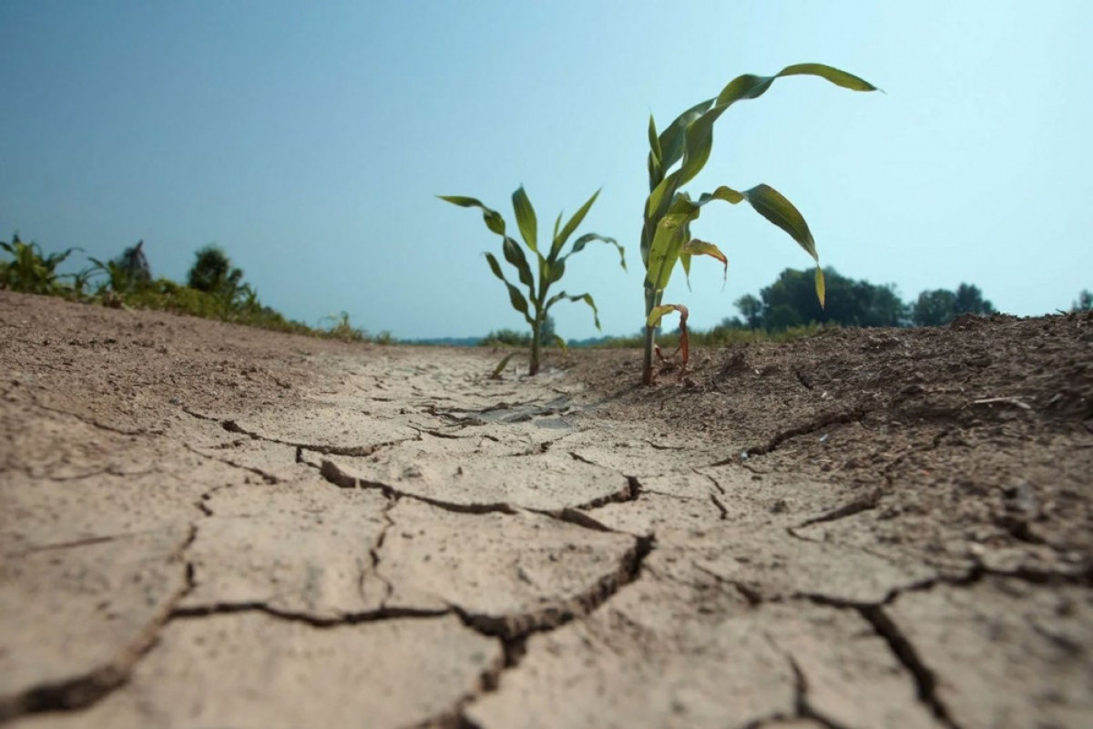 Azerbaijan to create National database on climate changes