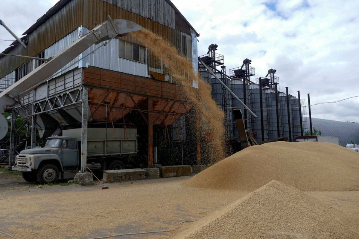 Ukraine urges UN, Turkiye to force to Russia comply with grain export agreements