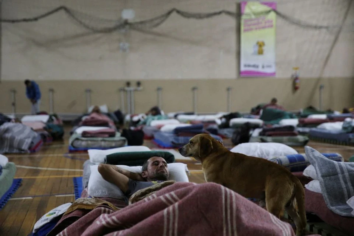 Brazilian city's homeless get incentive for going to shelter: beds for their pets