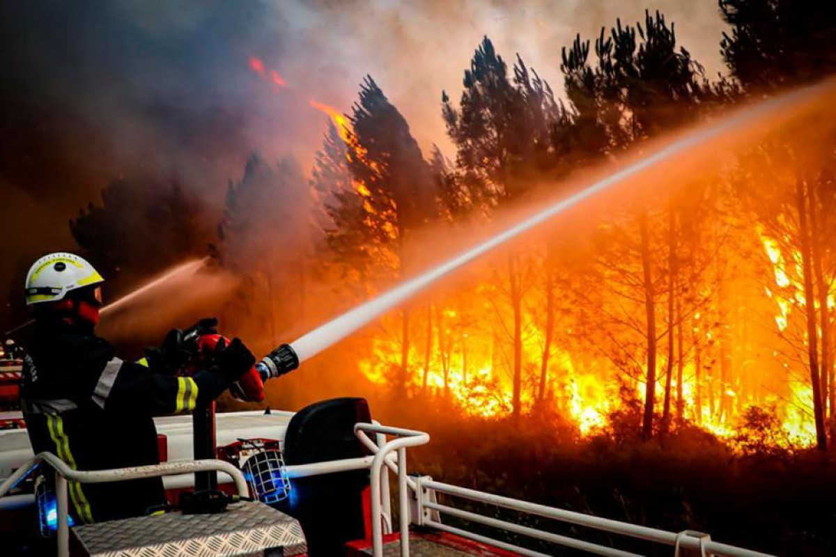 Wildfire burns 250 hectares of pine, injures firefighters in France