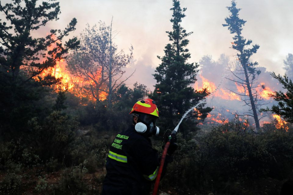 Wildfire rages near Athens, damaging homes