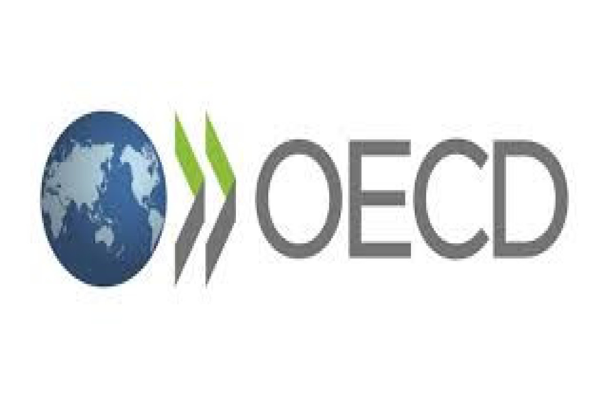 War will drive inflation up and growth down for next year - OECD