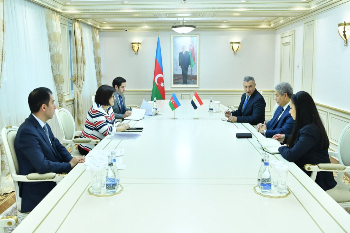 Egyptian companies intend to invest in liberated Azerbaijani lands