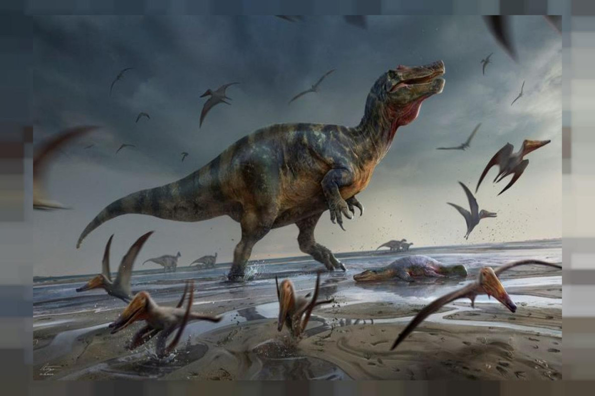 Europe's largest meat-eating dinosaur found on Isle of Wight