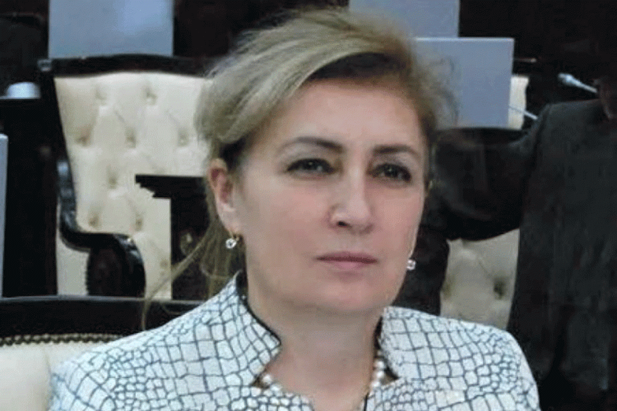 Malahat Ibrahimgizi, a member of the Working Group on Azerbaijani-Turkish Interparliamentary Group