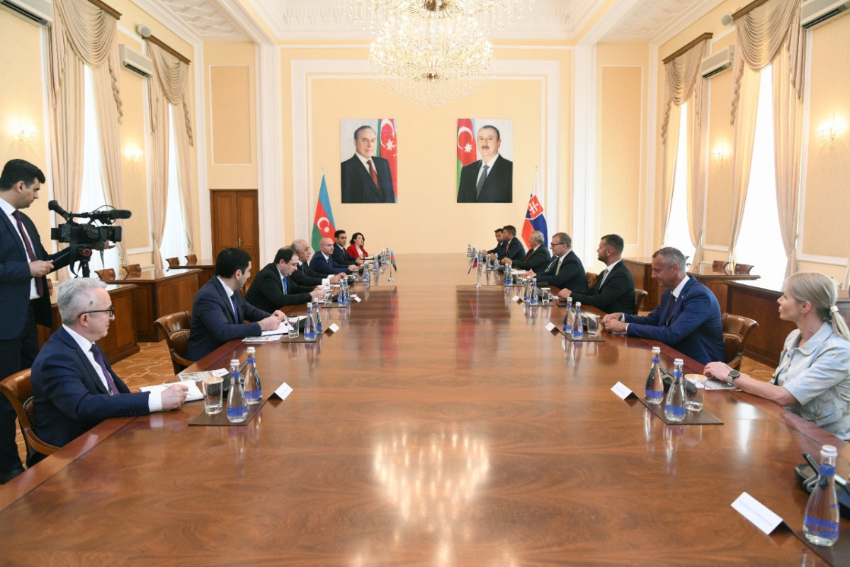 Azerbaijani PM met with chairman of National Council of Slovak Republic