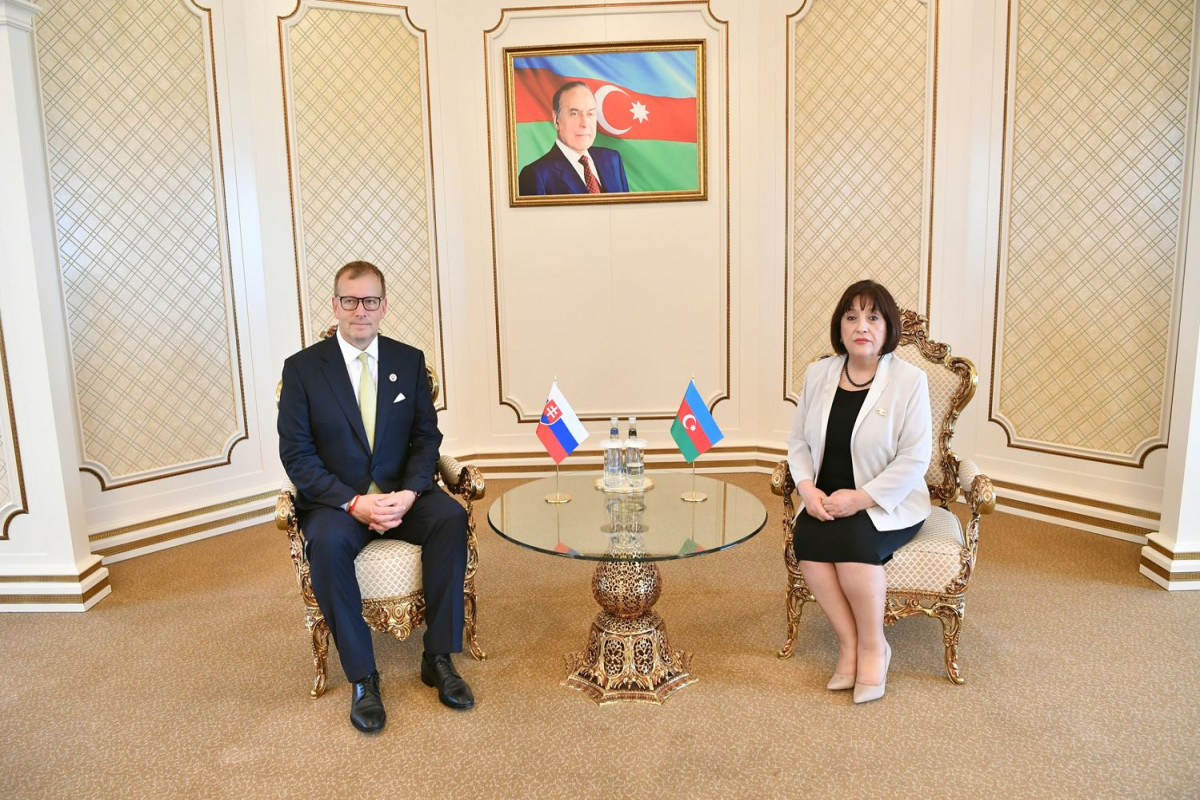 Chair of Azerbaijan's Milli Majlis meets with Speaker of National Council of Slovak Republic